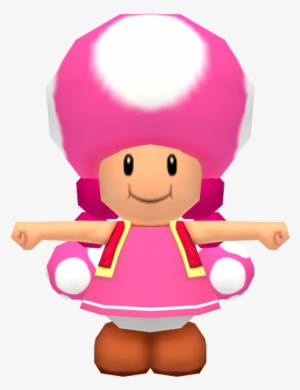 Download Zip Archive - Mario Kart Wii Toadette #3681704