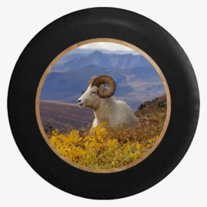Ram Horns In The Mountain Countryside Jeep Camper Spare #3682277