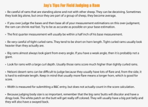 Jay Scotts Field Judging Bighorn Sheep Tips - Kata Kata Di Umur 20 Tahun #3682683