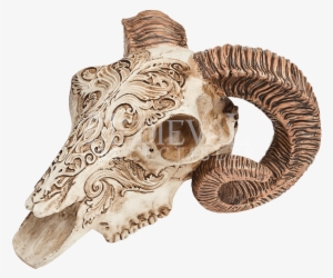 Item - Ram Skull #3682798