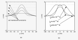 Contour Graph Of The Viral Membrane With The Cell Membrane - Diagram #3683243