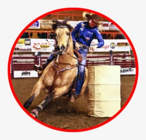 20% Gratuity Will Be Added To All Bottle Service Reservations - Barrel Racing Jackie Ganter #3683579