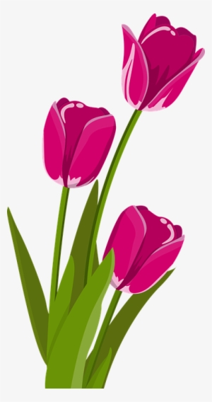 Bunga Tulip Musim Semi Tulpenbluete - Flower Stickers Png #3683936