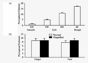 The Effect Of Texture Characteristics On Perceptual - Diagram #3684450