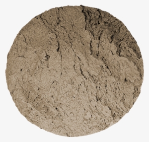 Rough Coral, Seamless Skin, 9″, Floppy - Hawaii #3684478