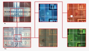 Spectrum Mult - Architecture #3689154