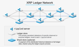 Xrp Ledger Network - Blog #3689218