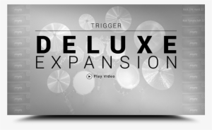 Steven Slate Drums - Slate Digital Trigger 2 #3691054