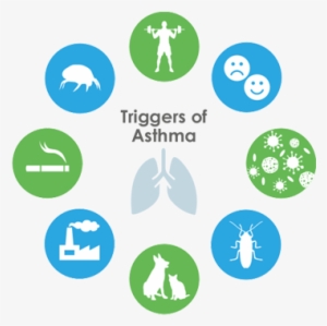 Non-allergic Asthma Would Be When Attacks Can Be Triggered - Us ...