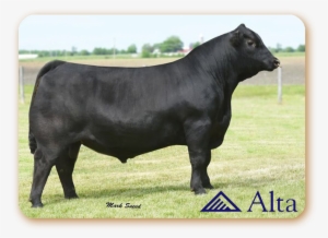 Confirmed - Connealy Consensus 7229 #3691831