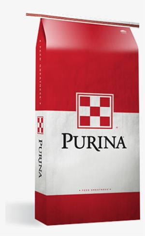 Duck Grower W/o, Purina - Purina Fitter 35 For Sale #3694744