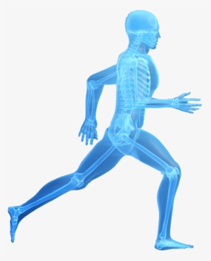 Fellowship Trained Physicians Here To Get You Back - Joint Replacement #3695042