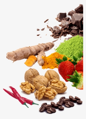 You Can Eat And Lose Weight - Elephant Brand Nut Cracker Tools Stainless Steel Walnut #3695090 You Can Eat And Lose Weight - Elephant Brand Nut Cracker Tools Stainless Steel Walnut #3695090