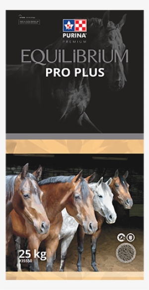 Purina Canada Equilibrium Pro Plus - Purina Horse Feed #3695225