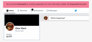 If The Platform Makes A Mistake And Suspends Or Bans - Account Suspended #3695361