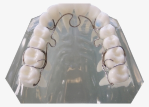 Alf - Nimrodental Ltd. #3695853