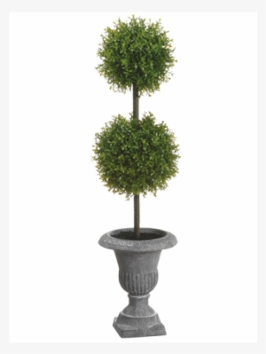 22" Tea Leaf Double Ball Topiary In Paper Mache Urn #3695979