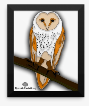 Hypno Owl Part I - Barn Owl #3696238