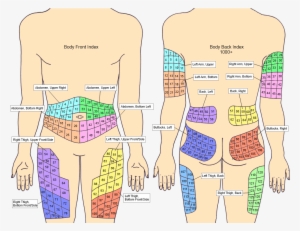 Injection Sites Index - Printable Insulin Injection Site Rotation Chart #3696653