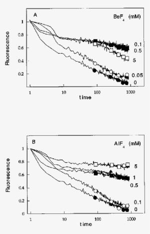Low Concentrations Of Alf N And Bef N Generate F-actin - Diagram #3696783