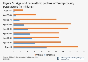 Trump's America Is Clearly Whiter And Older - Diagram #3696926
