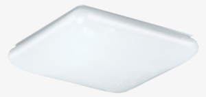 Rigby - Light #3697198