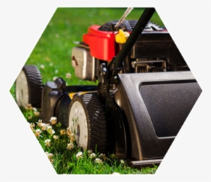 Lawn Care Maintenance Oswego Il - Lawn #3699405