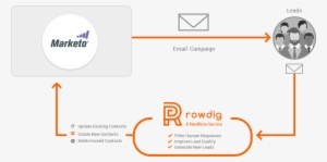 Marketo Installation Integration - Email #3699658