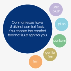 'what Is The Best Mattress For Stomach Sleepers - Circle #3699891