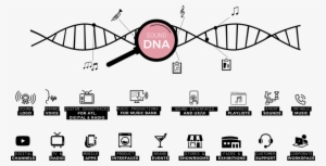 Sound Dna 2 New - Touchpoint #370014