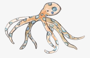 Blue Ring Octopus - Octopus #370456