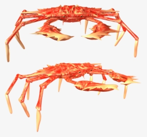 Best Free Crab Png Picture - Crab #370859
