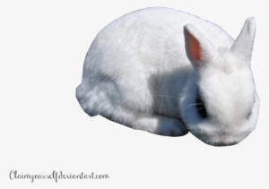 White Rabbit Png - Papercutting #370995