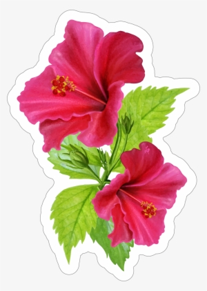 Beautiful Pink Hibiscus Flower Sticker #371194