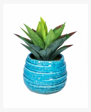 More Views - Flowerpot #371251