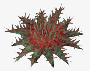 Starfishcrownofthorns Zerosvalmont - Thorns, Spines, And Prickles #371311