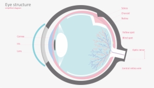 Click To Enlarge - Light Switch Symbol #371337