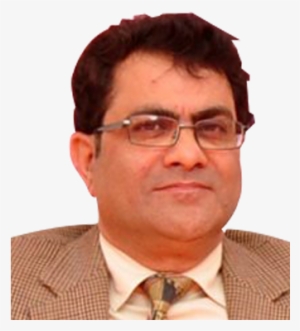 Shaheed Bhagat Singh Evening College University Of - Businessperson #371710