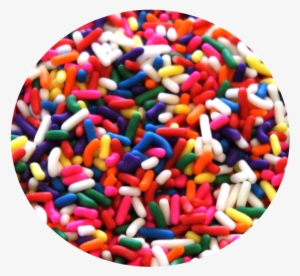 Carnival Sprinkles - Rainbow Sprinkles Box - 10 Pound #372235