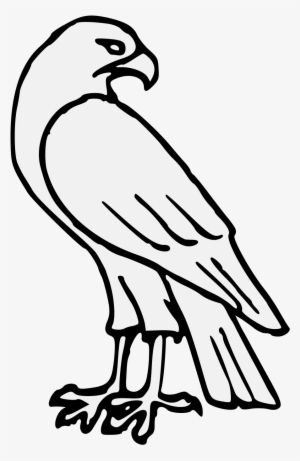 Falcon Clip Black And White Easy - Easy Hawk Drawing #372333