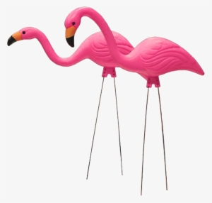 Plastic Pink Flamingo - 26 In. Pink Flamingo (2-pack) #372551