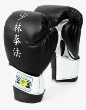 Ussd Sparring Gloves - Glove #372699