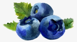 Blueberry #373388