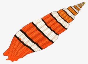 Seashell 01 Clipart Png #373733