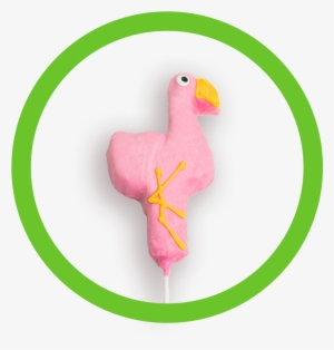 Flamingo Crispy Circle #373826