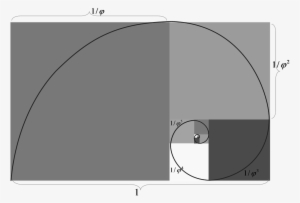 The Golden Ratio Is Everywhere - Circle #374180