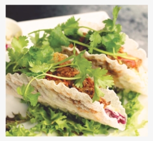 Thai Tacos Bluefrogwebsites Qqmbay 2016 11 23t15 - Tuna Salad #374832