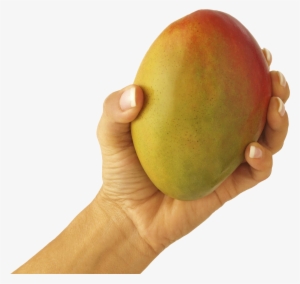 Let That Mango Memes #376511