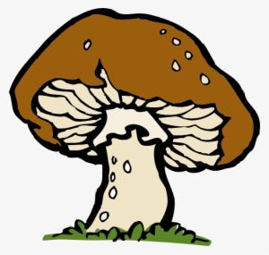 Mushroom #376512 Mushroom #376512