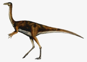 Elaphrosaurus Dinosaur - Gallimimus Dinosaur #376946